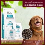 Brit Care Grain-free Adult Salmon & Potato