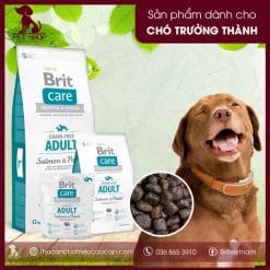 Brit Care Grain-free Adult Salmon & Potato