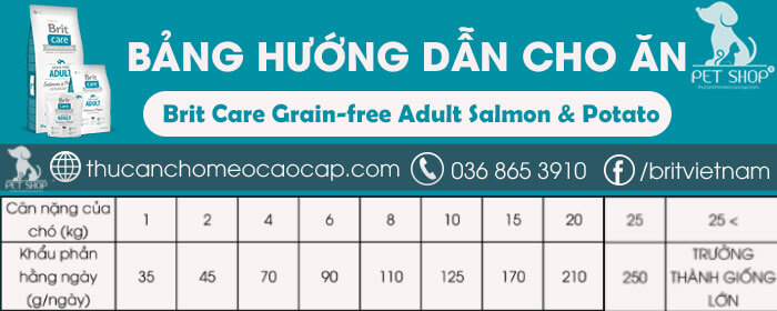 Brit Care Grain-free Adult Salmon & Potato