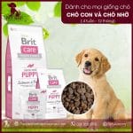 Brit Care Grain-free Adult Salmon & Potato