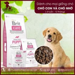 Brit Care Grain-free Adult Salmon & Potato