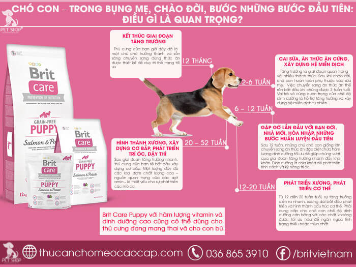 Brit Care Grain-free Puppy Salmon & Potato Brit Care Grain-free Puppy Salmon & Potato