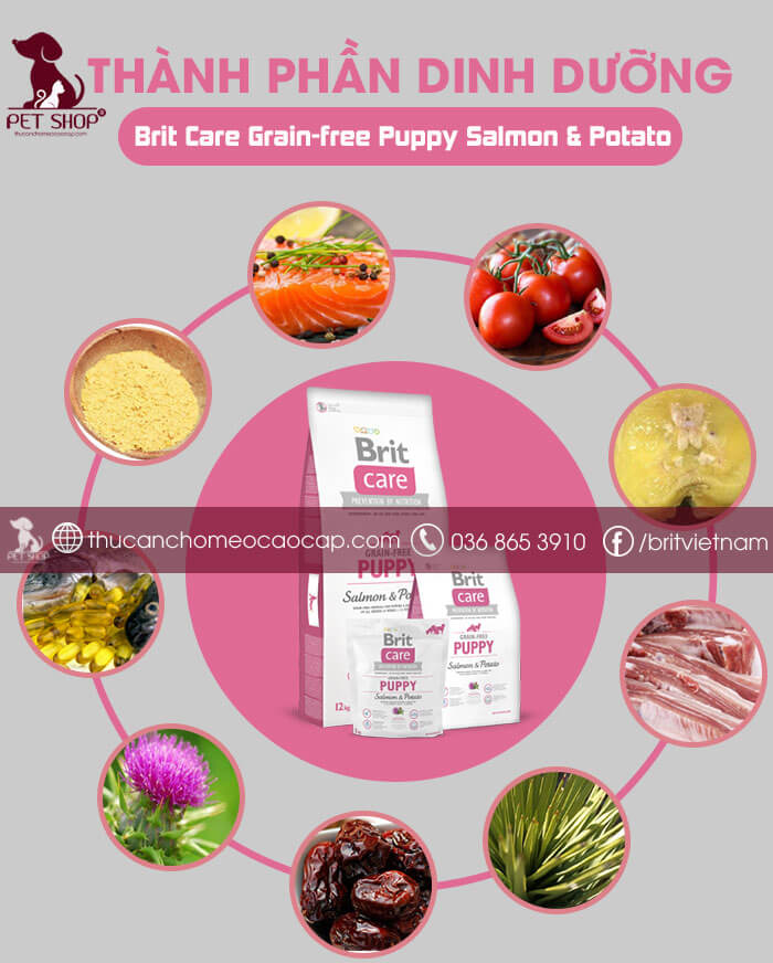 Brit Care Grain-free Puppy Salmon & Potato Brit Care Grain-free Puppy Salmon & Potato