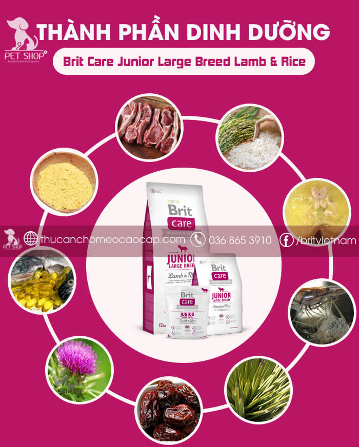 Brit Care Junior Large Breed Lamb & Rice