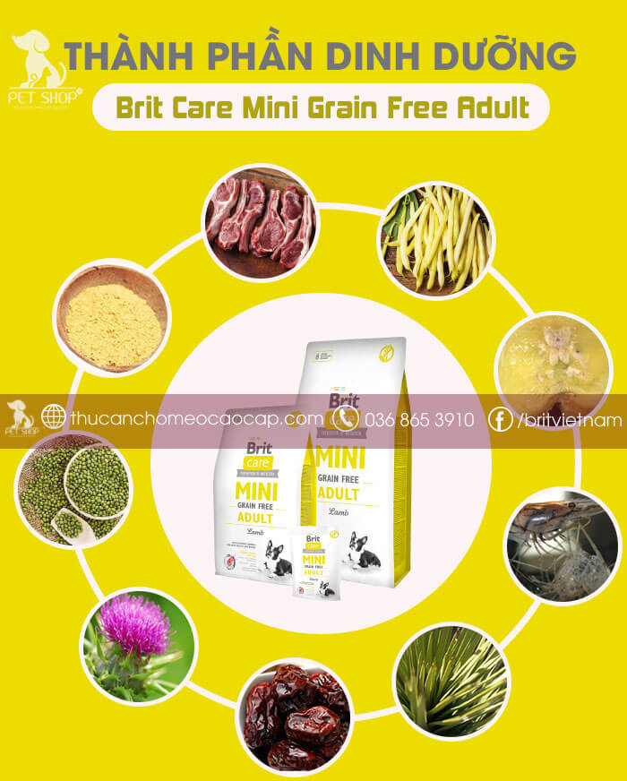 Brit Care Mini Grain Free Adult
