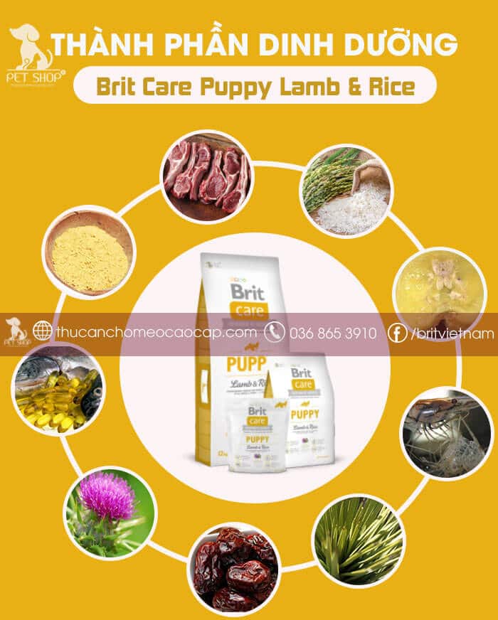 brit care puppy lamb