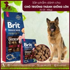 Brit Premium by Nature Adult L