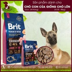 Brit Premium by Nature Junior L