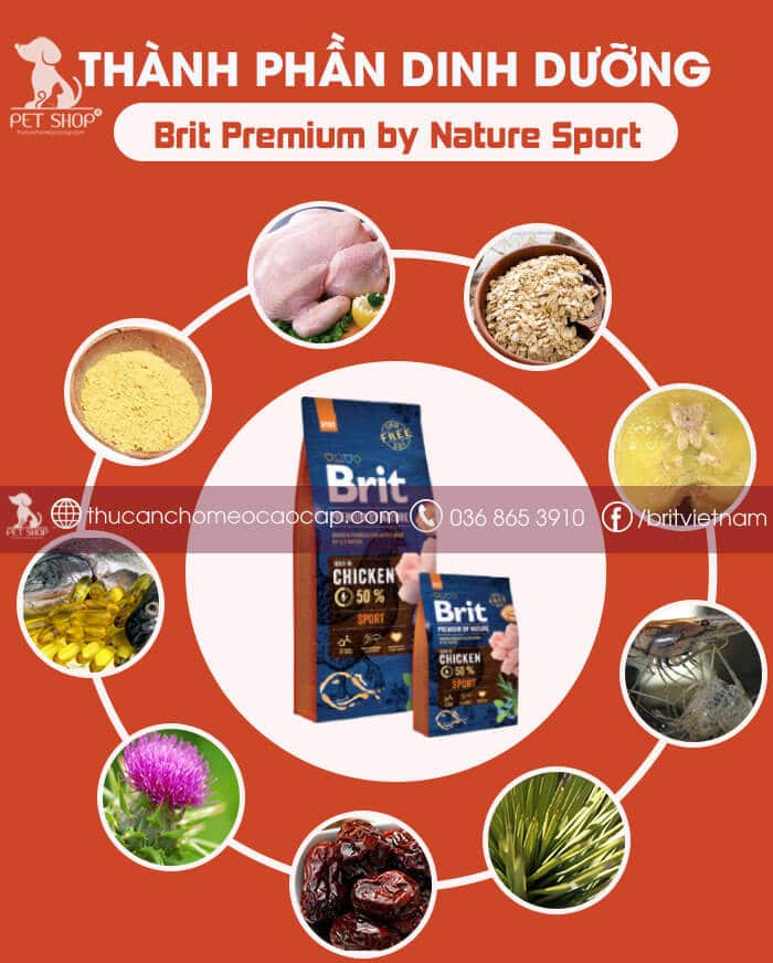 Brit Premium by Nature Sport