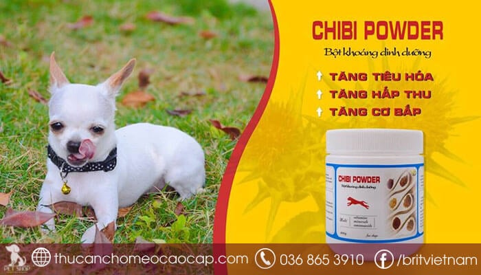 Bột Khoáng Chibi Powder Cao Cấp 400g Hỗ Trợ Tiêu Hóa, Tăng Hấp Thu