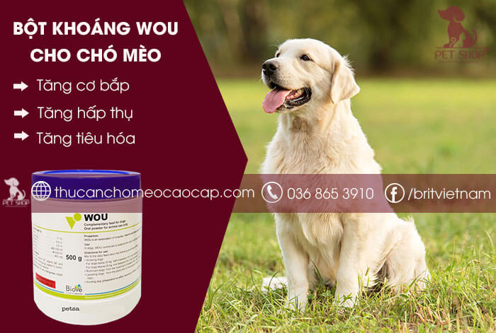 Bột khoáng Wou nhập Pháp cho chó mèo