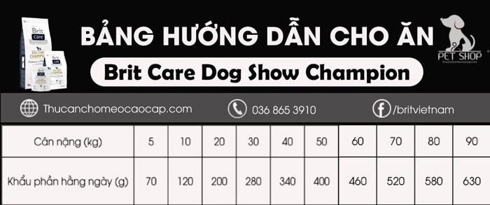 Brit Care Dog Show Champion