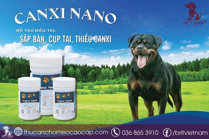 Đặc điểm của Canxi Nano