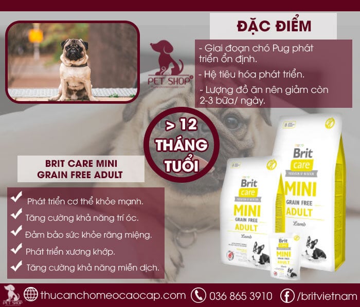 Thức ăn cho chó Pug mặt xệ giai đoạn trên 12 tháng? Thức ăn cho chó Pug mặt xệ giai đoạn trên 12 tháng?