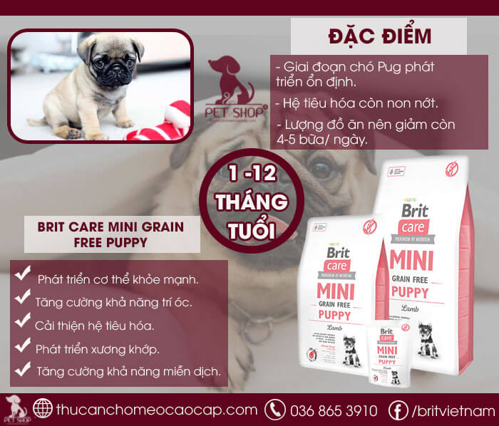 Thức ăn cho chó Pug mặt xệ giai đoạn 1 tháng đến 12 tháng Thức ăn cho chó Pug mặt xệ giai đoạn 1 tháng đến 12 tháng