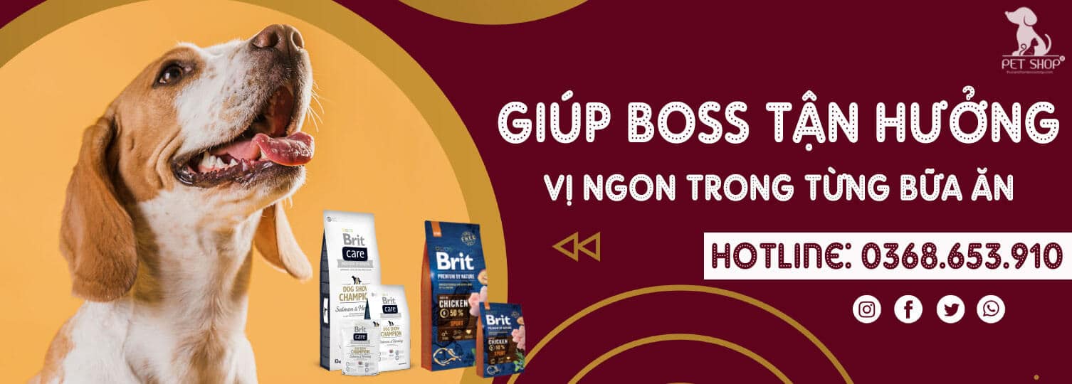 Thức ăn chó mèo cao cấp