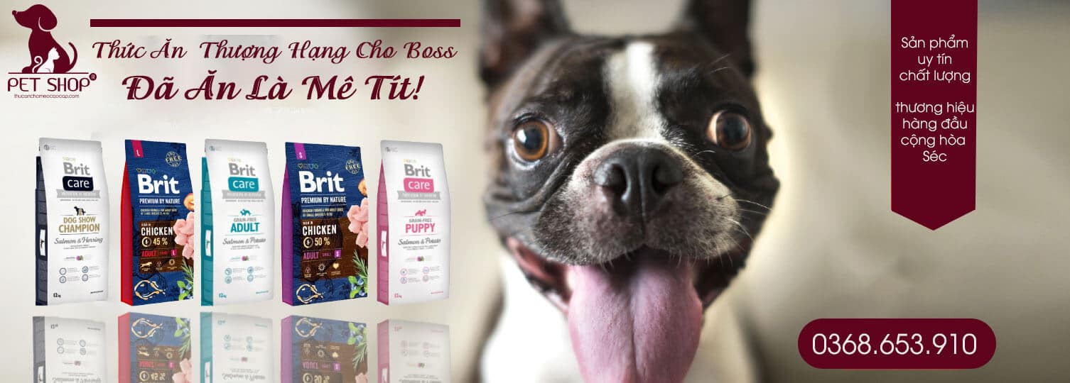 Thức ăn chó mèo cao cấp