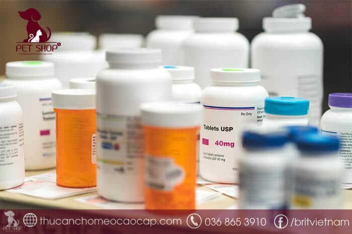 Cách điều trị bệnh sán chó Cách điều trị bệnh sán chó