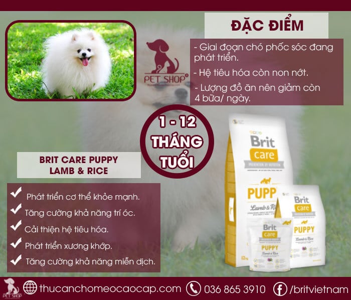 Thức ăn cho chó phốc sóc con Thức ăn cho chó phốc sóc con