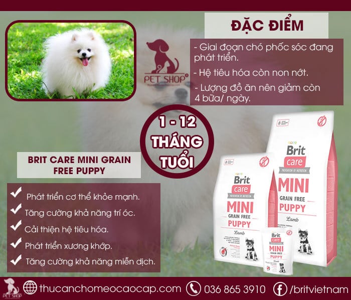 Thức ăn cho chó phốc sóc giai đoạn từ 1 tháng tuổi đến 12 tháng tuổi Thức ăn cho chó phốc sóc giai đoạn từ 1 tháng tuổi đến 12 tháng tuổi