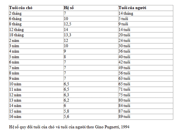 Hướng dẫn cách tính tuổi thọ trung bình của chó