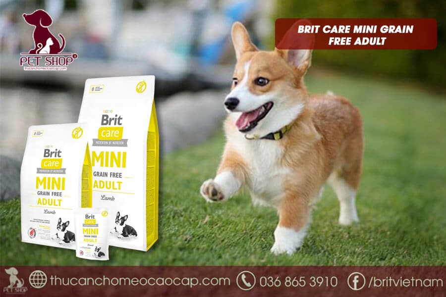 thức ăn cho chó Corgi trưởng thành loại cao cấp