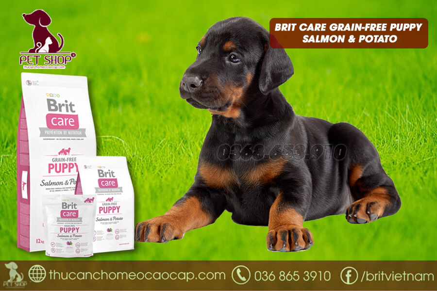 Thức ăn cho chó Doberman con