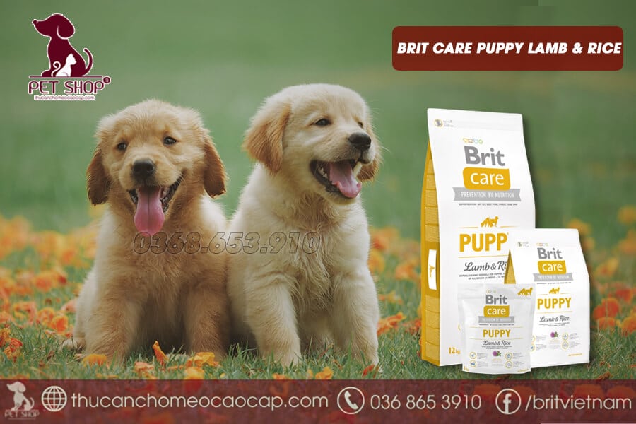 Thức ăn cho chó Brit Care Puppy Lamb & Rice