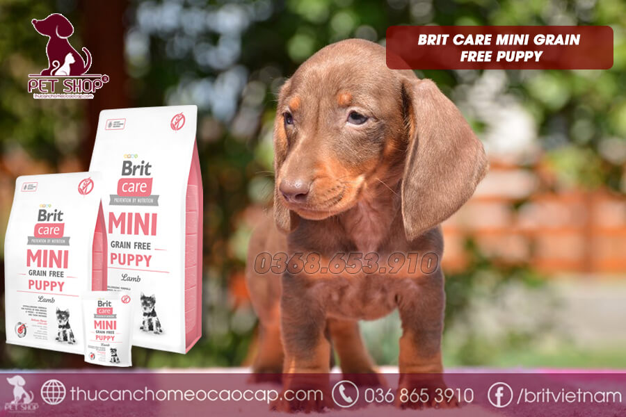 Thức ăn cho chó lạp xưởng cao cấp