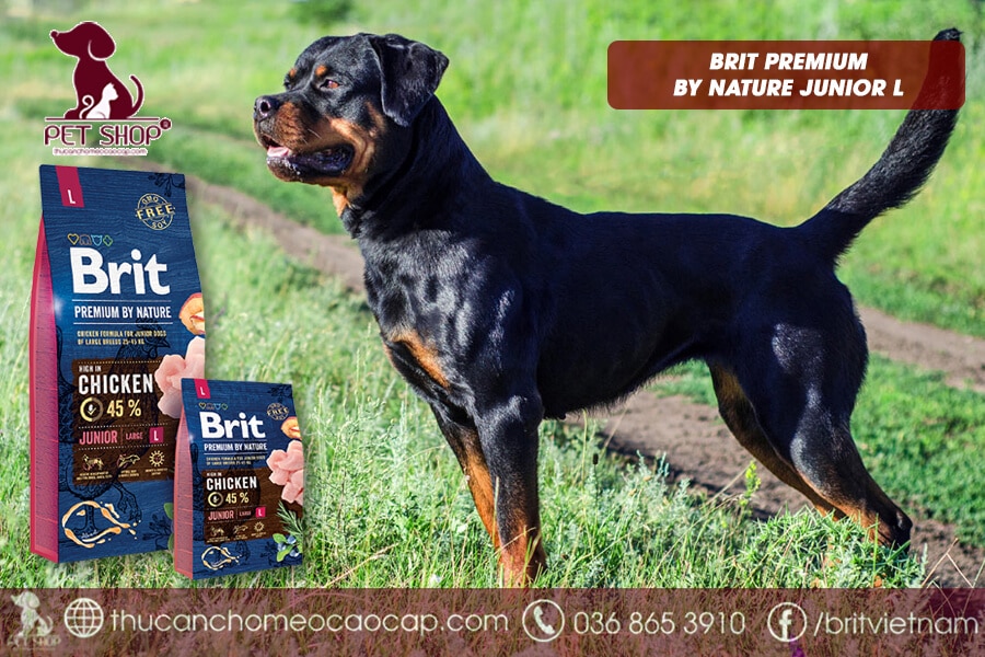 thức ăn khô cho chó Rottweiler con