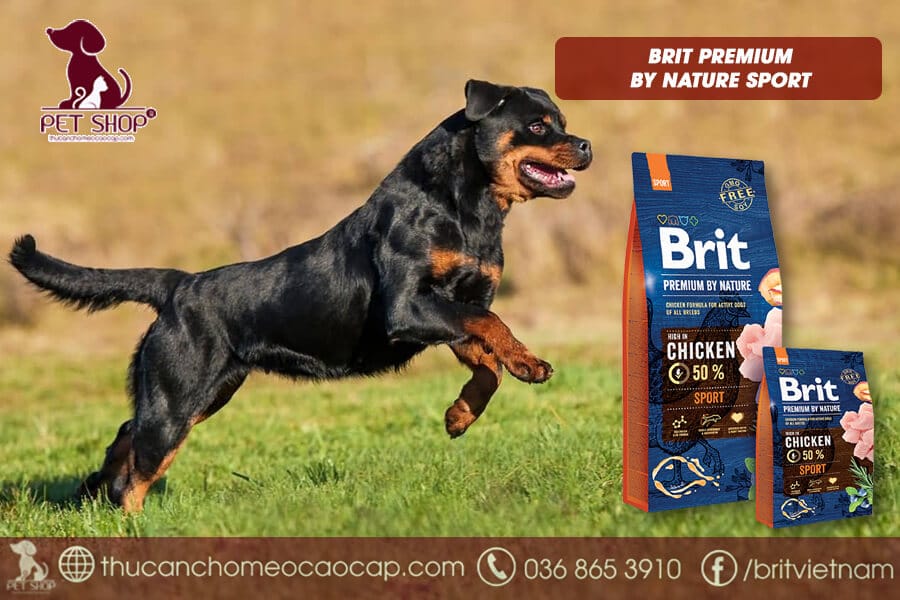 Thức ăn cho chó Rottweiler huấn luyện