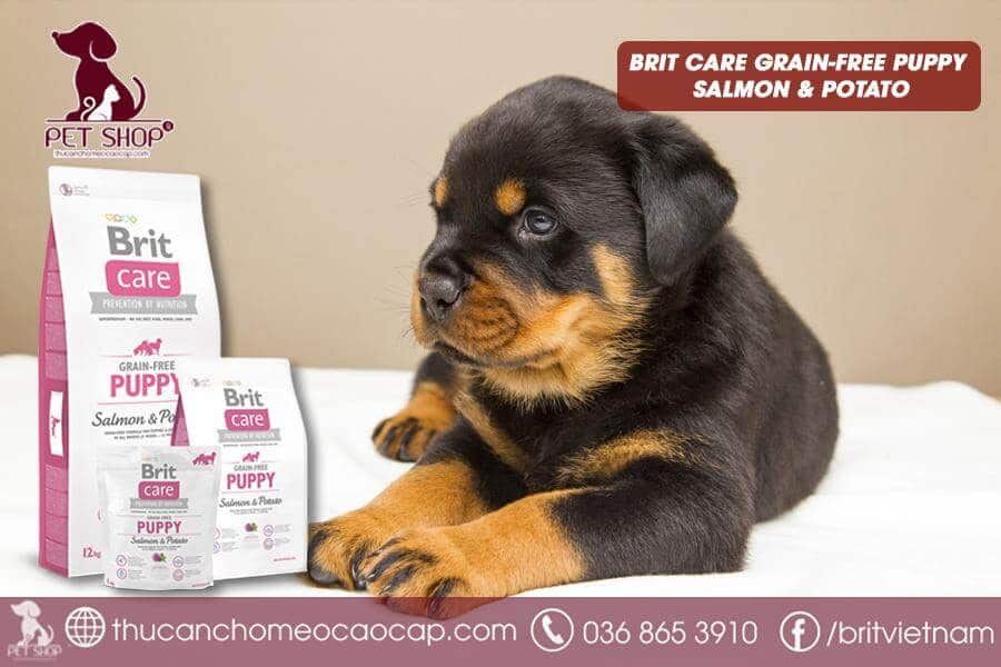 Thức ăn cho chó Rottweiler con