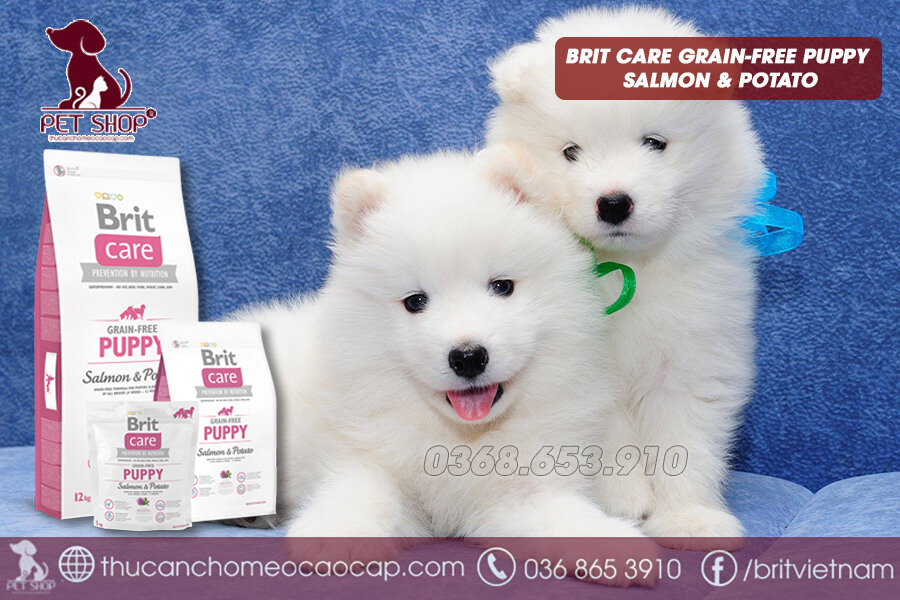 Thức ăn khô cho chó Samoyed 