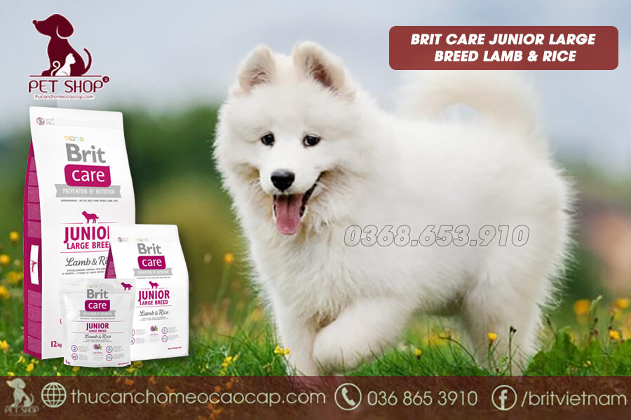 thức ăn cho chó Samoyed loại cao cấp