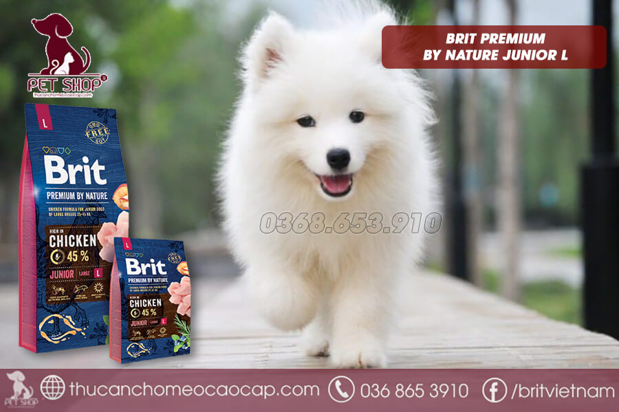 Thức ăn cho chó Samoyed nhỡ