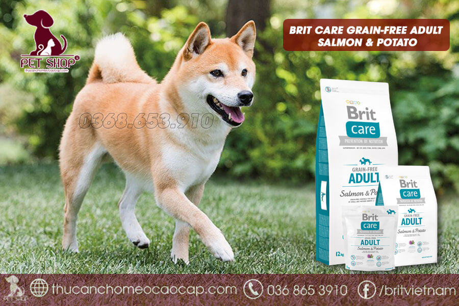 Thức ăn cho chó Shiba trưởng thành