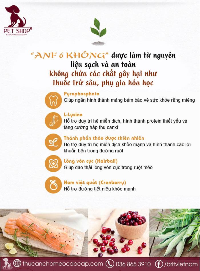 6 không của thức ăn cho mèo cao cấp vị gà ANF - Double Meat