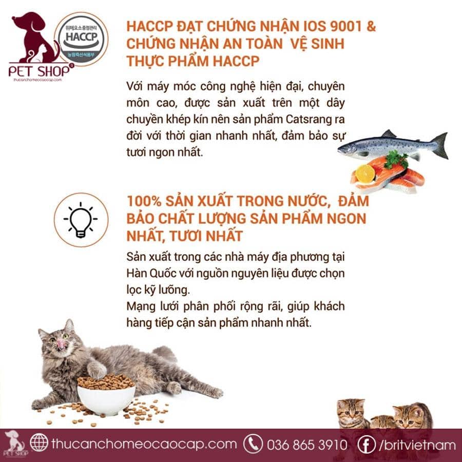 Ưu điểm chính của thức ăn hạt Catsrang Kitten cho mèo con