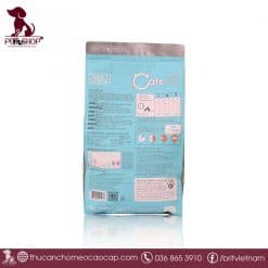 catsrang cho mèo trưởng thành