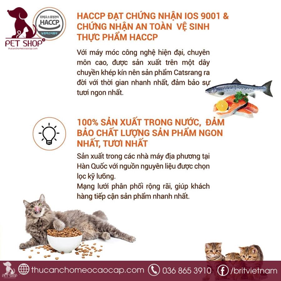hạt cho mèo trưởng thành