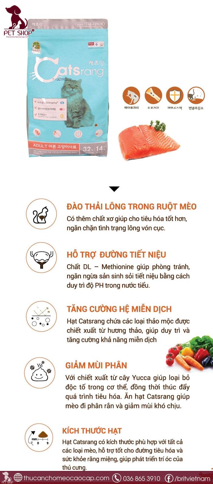5 ưu việt của Catsrang Adult cho mèo trưởng thành