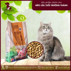 thức ăn hữu cơ cho mèo trưởng thành