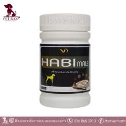 Habi Male tăng tinh chó đực