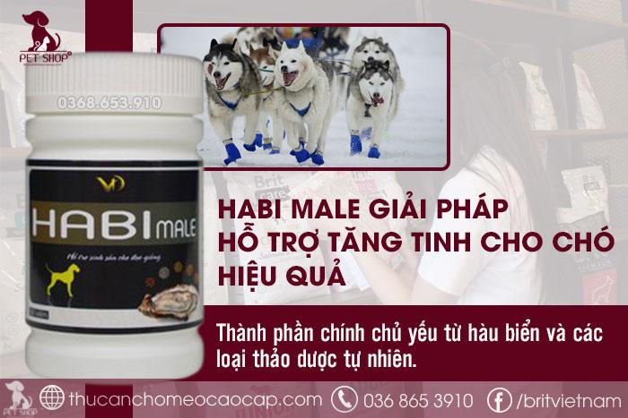 Giới thiệu Habi Male hỗ trợ tăng tinh