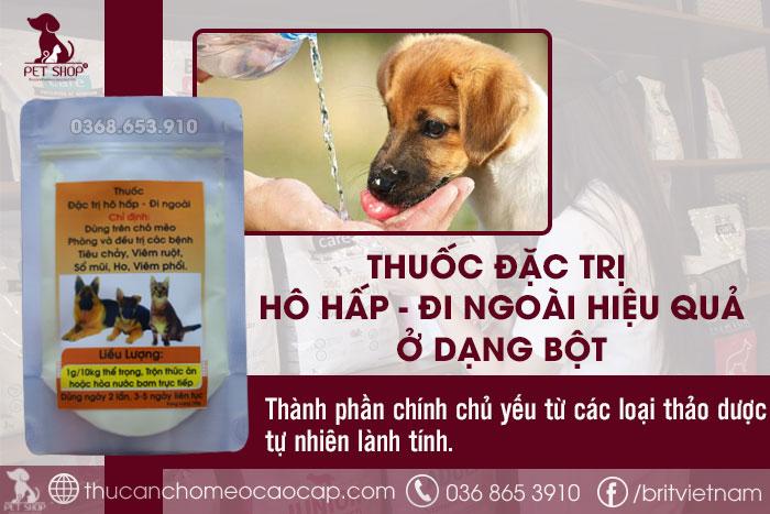 Thuốc đặc trị hô hấp ở chó