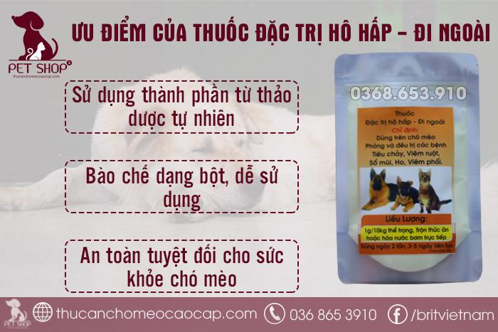 mua thuốc đặc trị hô hấp tiêu chảy ở chó