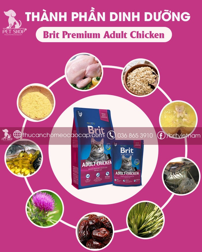 Thành phần chính của Brit Premium Adult Chicken
