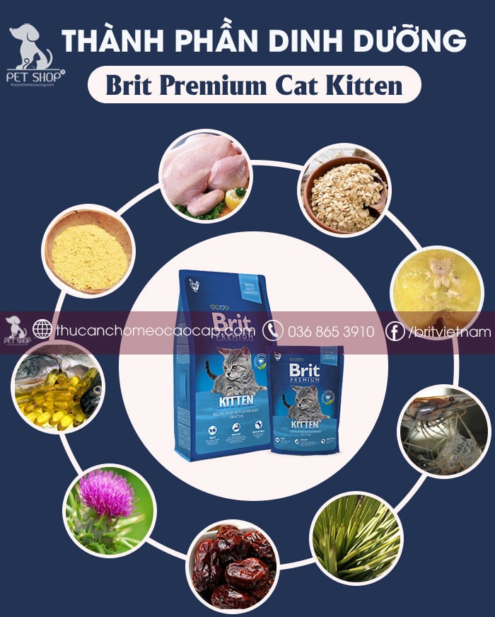 Thành phần chính của Brit Premium Cat Kitten