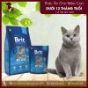 Brit Premium Cat Kitten