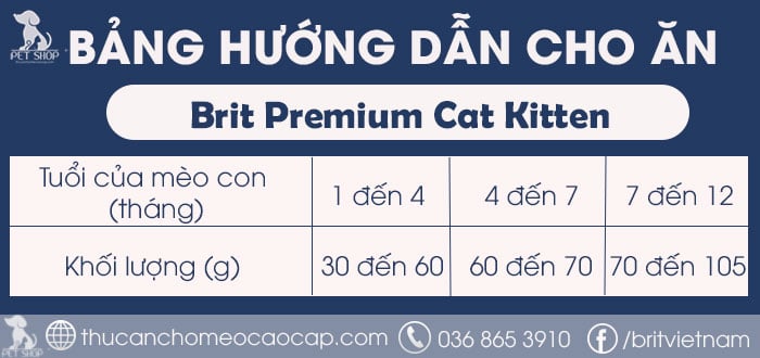 Khẩu phần ăn cho mèo con